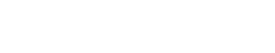 Forge Ireland Logo